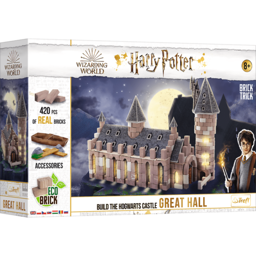 Brick Trick - HP Great Hall